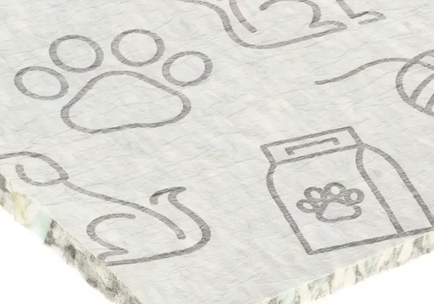 Pet footprints